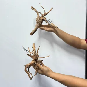ANS Branchy Driftwood  M (26-35cm)