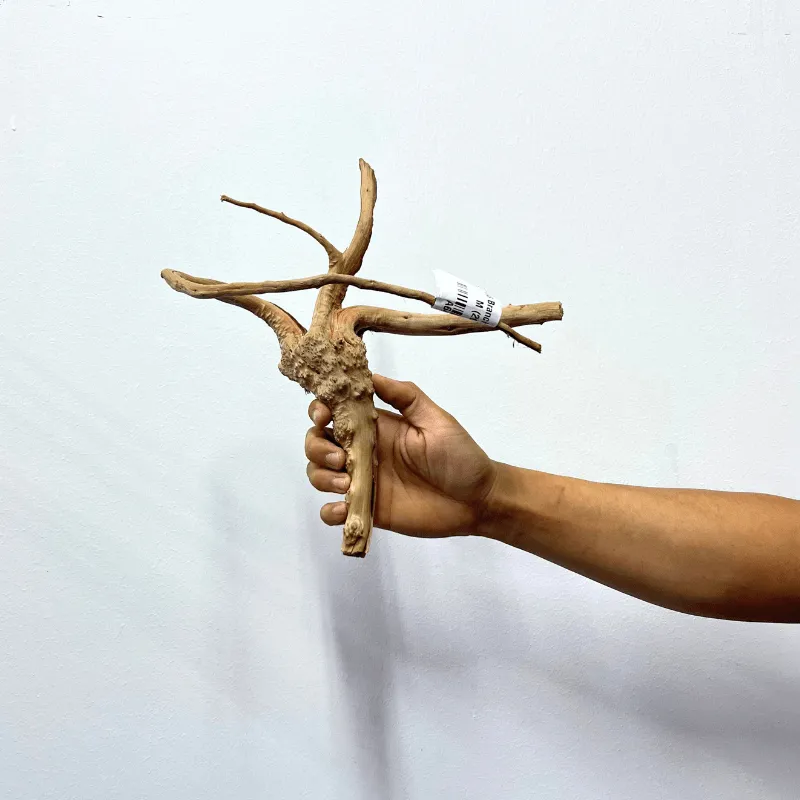 ANS Branchy Driftwood  M (26-35cm)