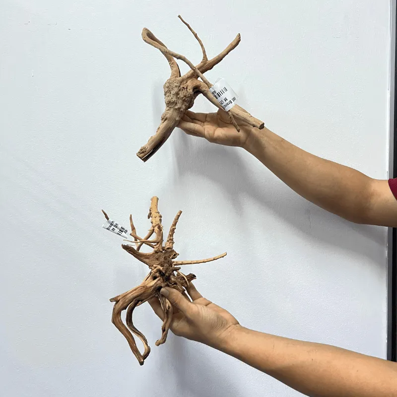 ANS Branchy Driftwood  M (26-35cm)