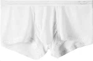 Men's underwear breathable cool panties translucent sexy men's ice silk panties