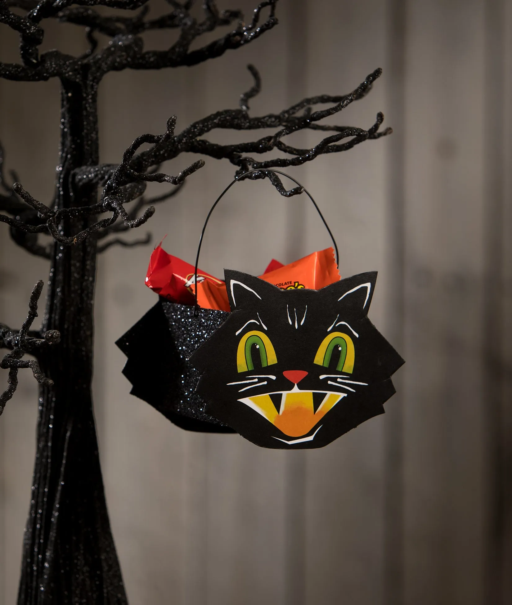 Mr. Cool Cat Bucket Mini