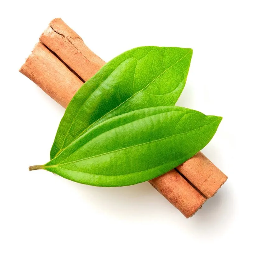 ORGANIC CINNAMON LEAF OIL