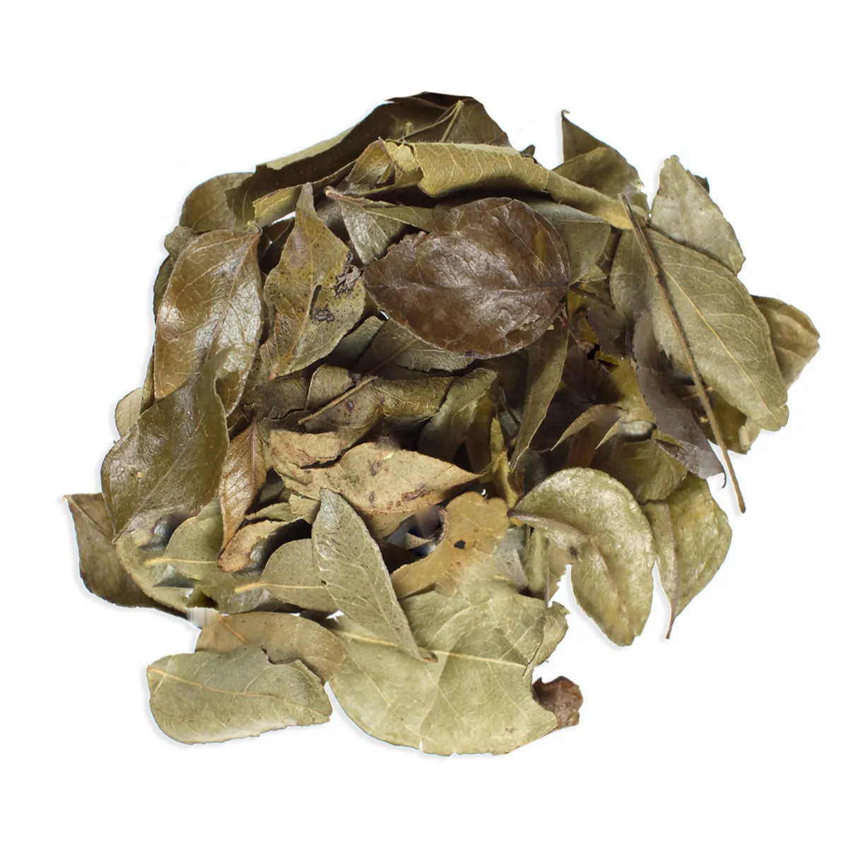 Organic Curry Leaves