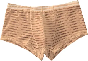 Sexy Stripe Sheer Mesh Lace Boxer Briefs for Men Mid-Waist Underwear Seamless Breathable Boyshort Bulge Pouch Panties Beige