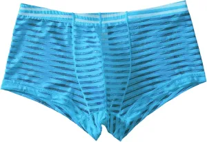 Sexy Stripe Sheer Mesh Lace Boxer Briefs for Men Mid-Waist Underwear Seamless Breathable Boyshort Bulge Pouch Panties Blue