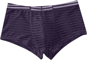 Sexy Stripe Sheer Mesh Lace Boxer Briefs for Men Mid-Waist Underwear Seamless Breathable Boyshort Bulge Pouch Panties Grey