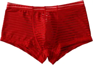 Sexy Stripe Sheer Mesh Lace Boxer Briefs for Men Mid-Waist Underwear Seamless Breathable Boyshort Bulge Pouch Panties Red